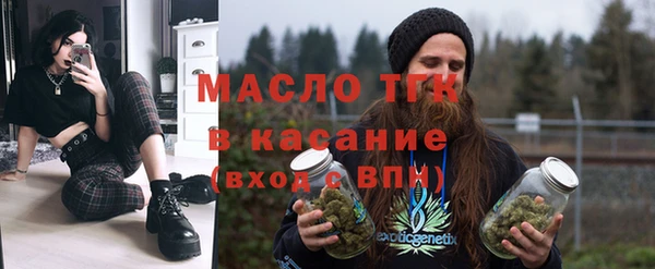 хмурый Алексин