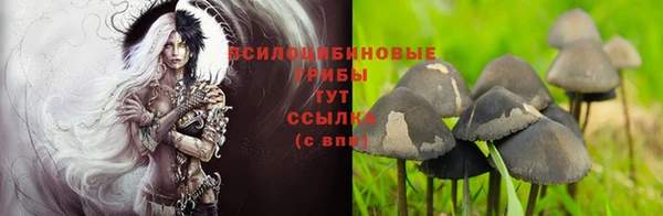тгк Алексеевка