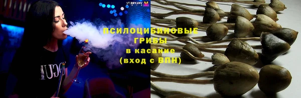 mdpv Алзамай