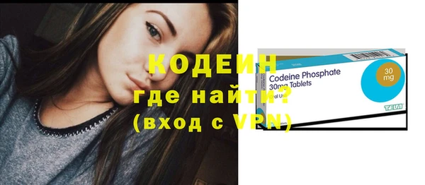 хмурый Алексин