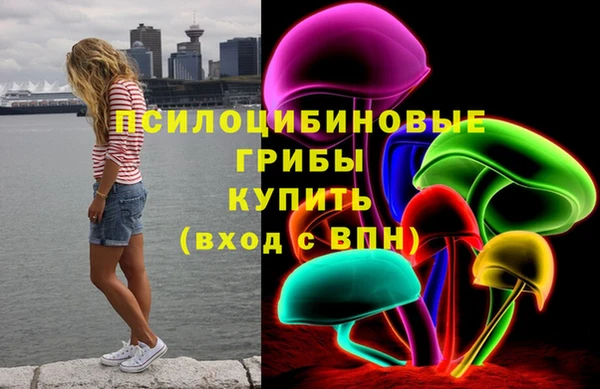 хмурый Алексин