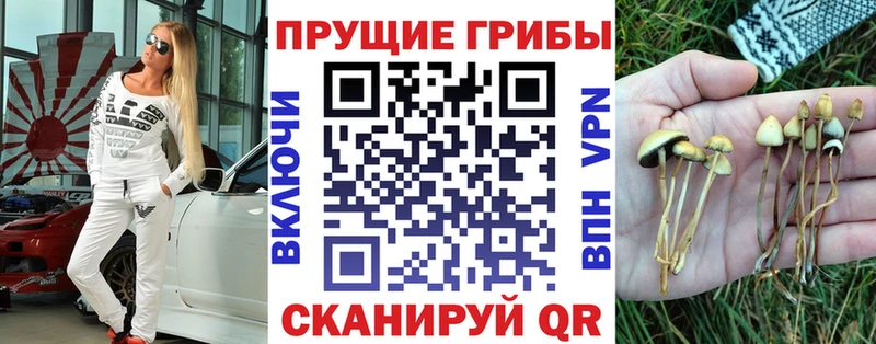 Галлюциногенные грибы мухоморы  закладки  Себеж 